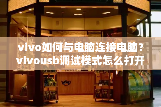 vivo如何与电脑连接电脑？vivousb调试模式怎么打开