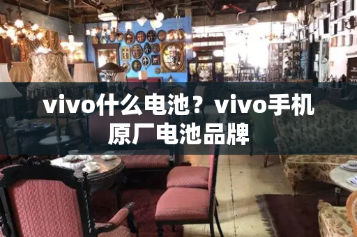 vivo什么电池？vivo手机原厂电池品牌