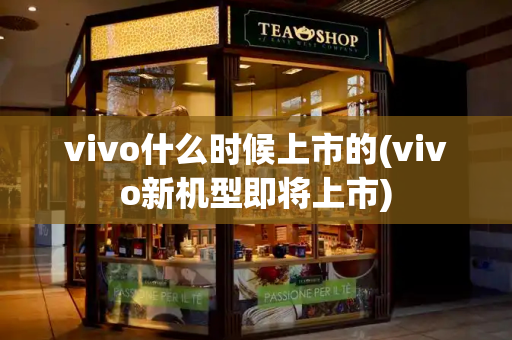 vivo什么时候上市的(vivo新机型即将上市)