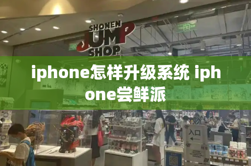 iphone怎样升级系统 iphone尝鲜派-第1张图片-星选测评