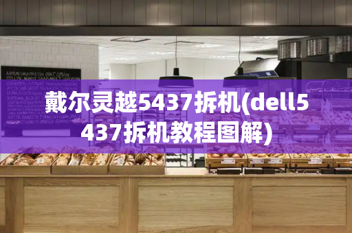 戴尔灵越5437拆机(dell5437拆机教程图解)