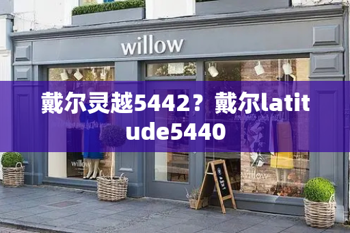 戴尔灵越5442？戴尔latitude5440