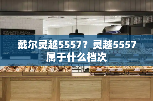 戴尔灵越5557？灵越5557属于什么档次