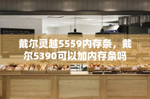 戴尔灵越5559内存条，戴尔5390可以加内存条吗-第1张图片-星选测评