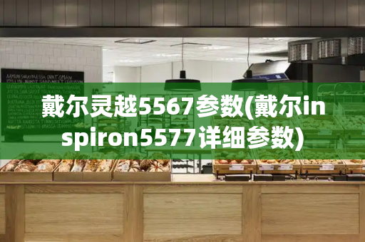 戴尔灵越5567参数(戴尔inspiron5577详细参数)