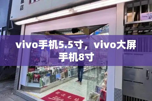 vivo手机5.5寸，vivo大屏手机8寸