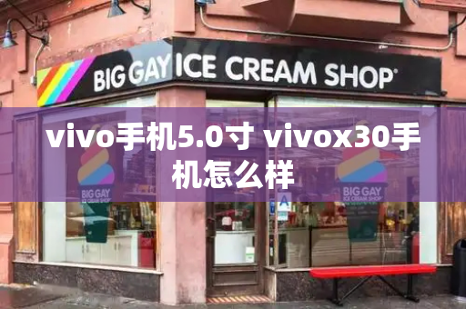 vivo手机5.0寸 vivox30手机怎么样