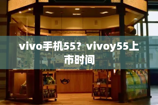 vivo手机55？vivoy55上市时间