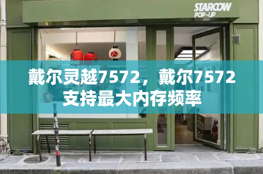 戴尔灵越7572，戴尔7572支持最大内存频率-第1张图片-星选测评