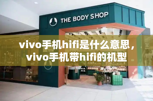 vivo手机hifi是什么意思，vivo手机带hifi的机型