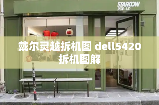 戴尔灵越拆机图 dell5420拆机图解-第1张图片-星选测评