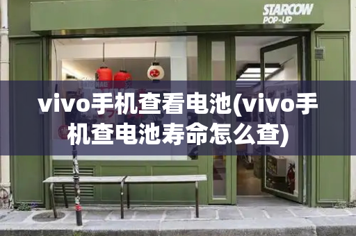 vivo手机查看电池(vivo手机查电池寿命怎么查)-第1张图片-星选值得买