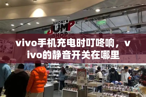 vivo手机充电时叮咚响，vivo的静音开关在哪里