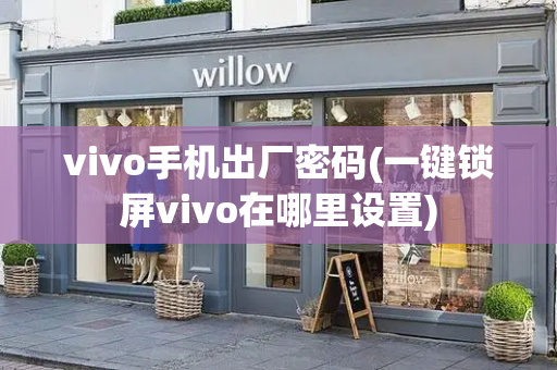 vivo手机出厂密码(一键锁屏vivo在哪里设置)