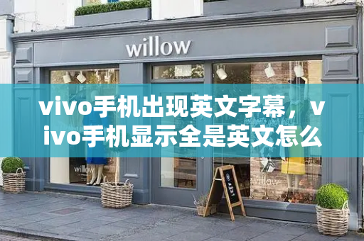 vivo手机出现英文字幕，vivo手机显示全是英文怎么办