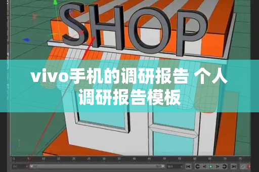 vivo手机的调研报告 个人调研报告模板