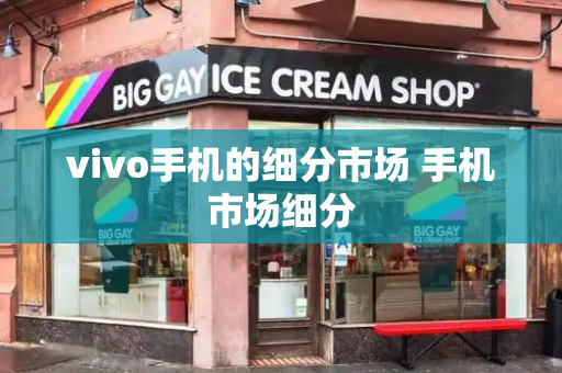 vivo手机的细分市场 手机市场细分