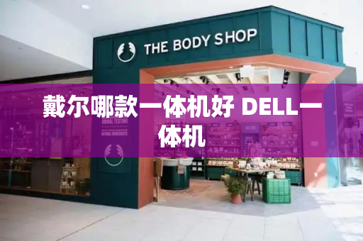 戴尔哪款一体机好 DELL一体机-第1张图片-星选测评