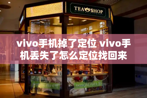 vivo手机掉了定位 vivo手机丢失了怎么定位找回来-第1张图片-星选值得买