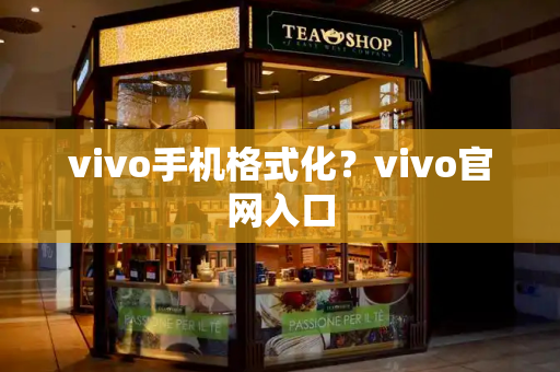 vivo手机格式化？vivo官网入口-第1张图片-星选值得买