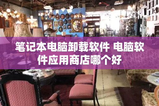 笔记本电脑卸载软件 电脑软件应用商店哪个好