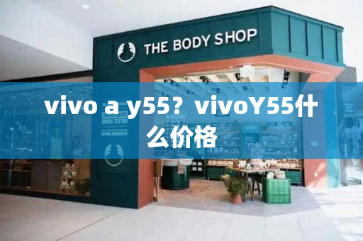 vivo a y55？vivoY55什么价格