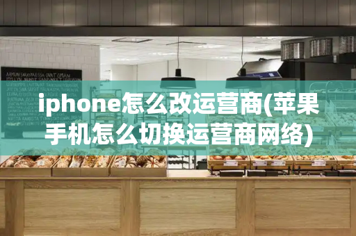 iphone怎么改运营商(苹果手机怎么切换运营商网络)