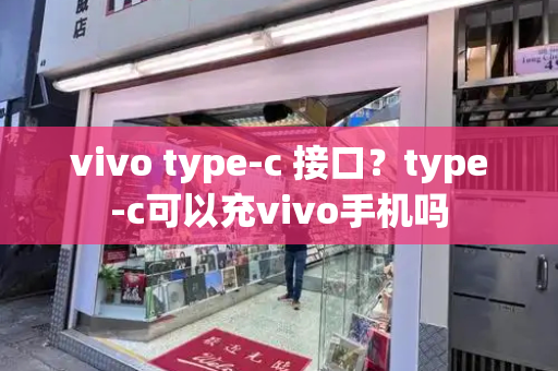 vivo type-c 接口？type-c可以充vivo手机吗