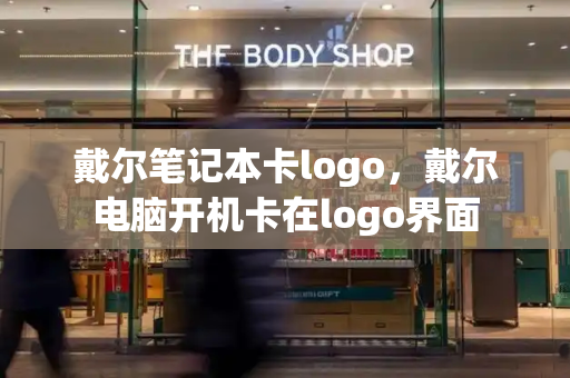 戴尔笔记本卡logo，戴尔电脑开机卡在logo界面-第1张图片-星选测评