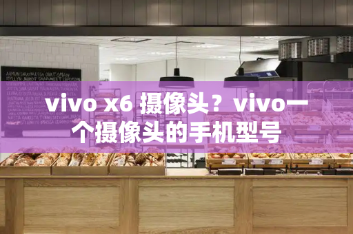 vivo x6 摄像头？vivo一个摄像头的手机型号