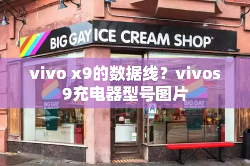 vivo x9的数据线？vivos9充电器型号图片