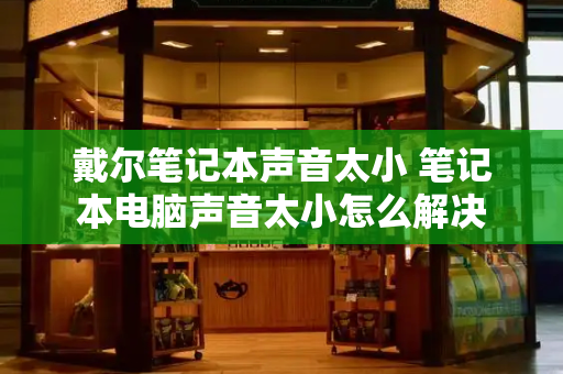 戴尔笔记本声音太小 笔记本电脑声音太小怎么解决-第1张图片-星选测评