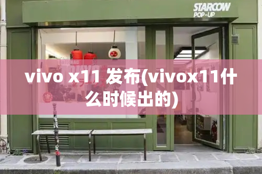 vivo x11 发布(vivox11什么时候出的)