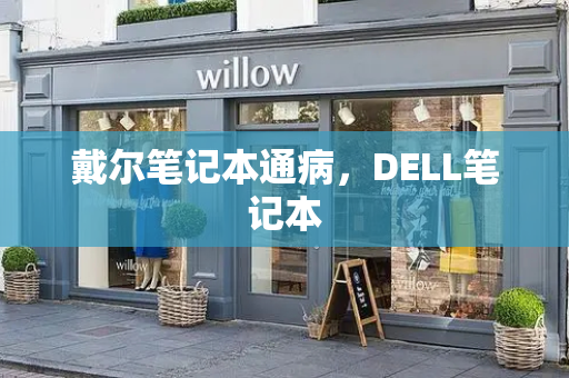 戴尔笔记本通病，DELL笔记本-第1张图片-星选测评