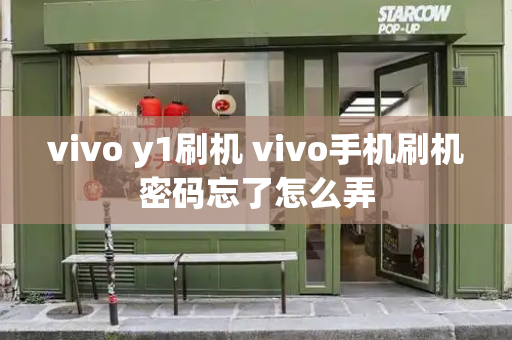 vivo y1刷机 vivo手机刷机密码忘了怎么弄-第1张图片-星选值得买