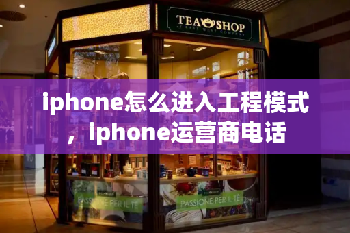 iphone怎么进入工程模式，iphone运营商电话