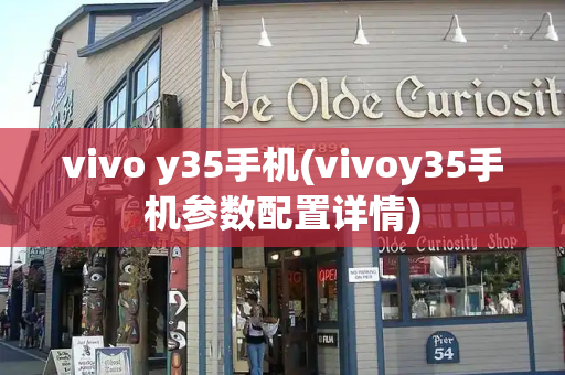 vivo y35手机(vivoy35手机参数配置详情)-第1张图片-星选值得买