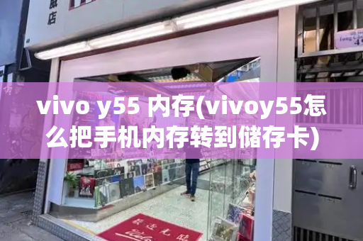 vivo y55 内存(vivoy55怎么把手机内存转到储存卡)