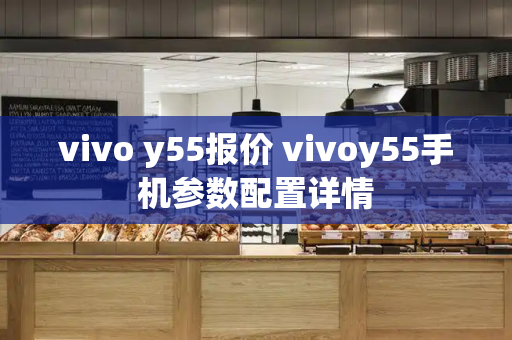 vivo y55报价 vivoy55手机参数配置详情