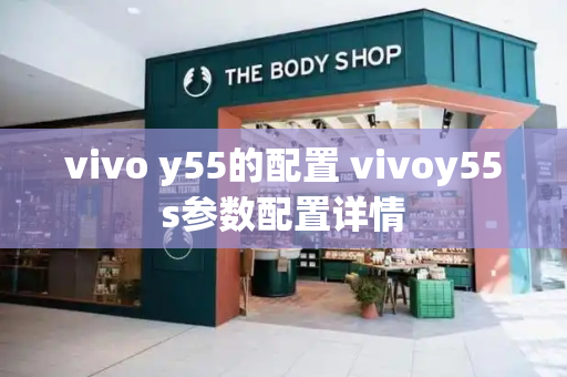 vivo y55的配置 vivoy55s参数配置详情