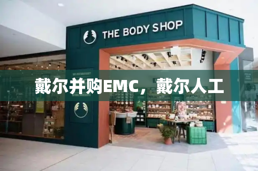 戴尔并购EMC，戴尔人工-第1张图片-星选测评