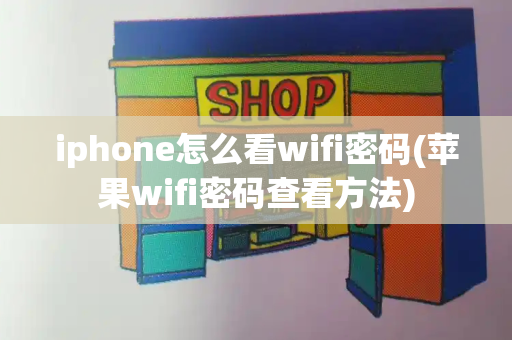 iphone怎么看wifi密码(苹果wifi密码查看方法)-第1张图片-星选测评