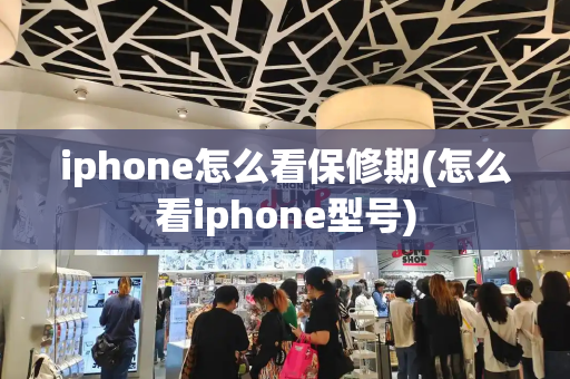 iphone怎么看保修期(怎么看iphone型号)-第1张图片-星选测评