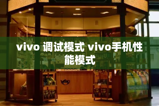 vivo 调试模式 vivo手机性能模式