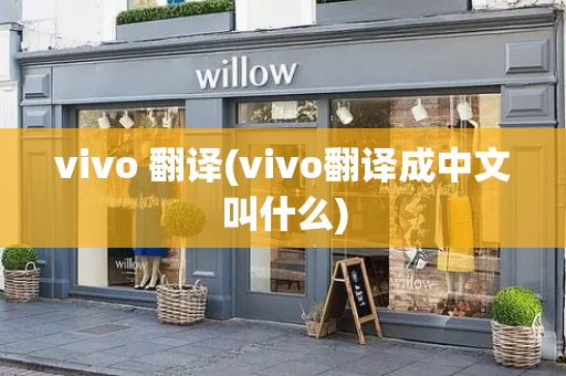 vivo 翻译(vivo翻译成中文叫什么)