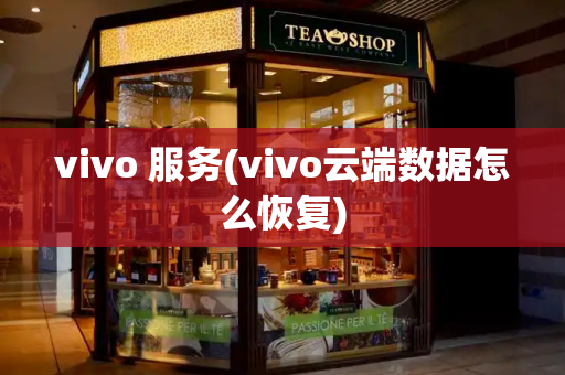 vivo 服务(vivo云端数据怎么恢复)