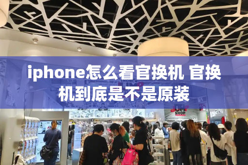 iphone怎么看官换机 官换机到底是不是原装-第1张图片-星选测评