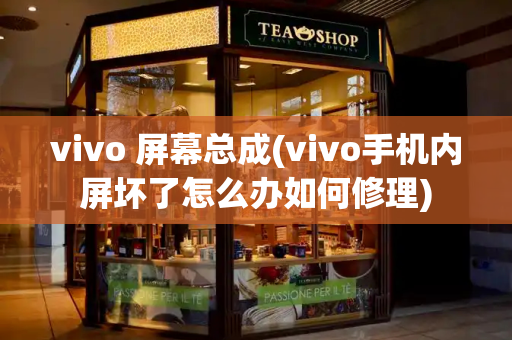 vivo 屏幕总成(vivo手机内屏坏了怎么办如何修理)