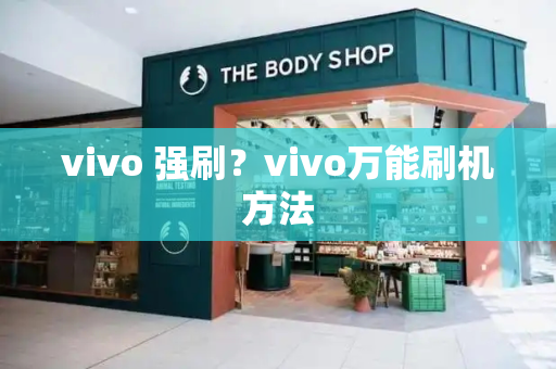 vivo 强刷？vivo万能刷机方法