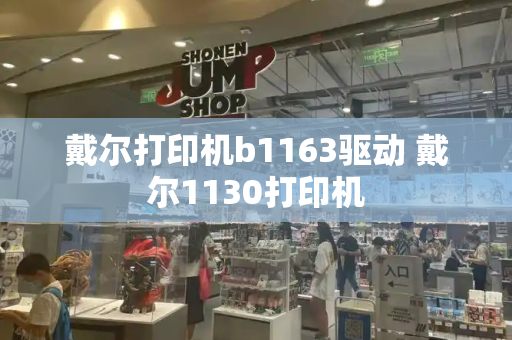 戴尔打印机b1163驱动 戴尔1130打印机-第1张图片-星选测评